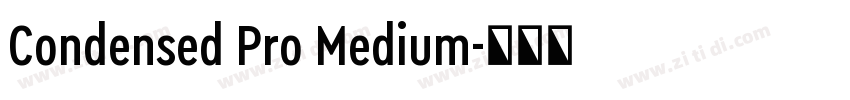 Condensed Pro Medium字体转换